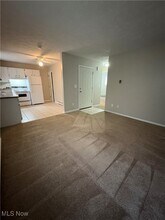 121 Atlanta Ave in Austintown, OH - Building Photo - Building Photo