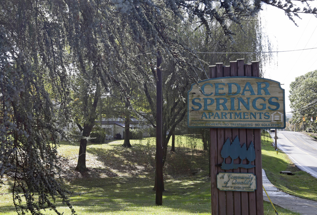 Cedar Springs Apartments in Knoxville, TN - Foto de edificio