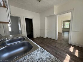 13214 Svec Ave in Cleveland, OH - Building Photo