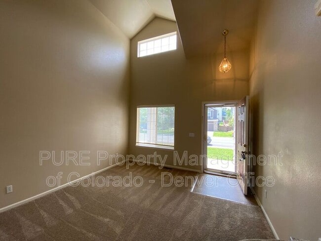 2573 Cove Creek Ct in Highlands Ranch, CO - Building Photo - Building Photo