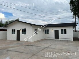 315 E Carol Ave in Phoenix, AZ - Building Photo