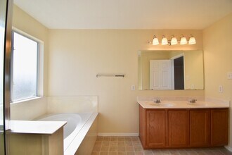 120 Tower Bluff in Cibolo, TX - Building Photo - Building Photo