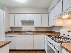 1110 Hyridge St in Round Rock, TX - Building Photo - Building Photo