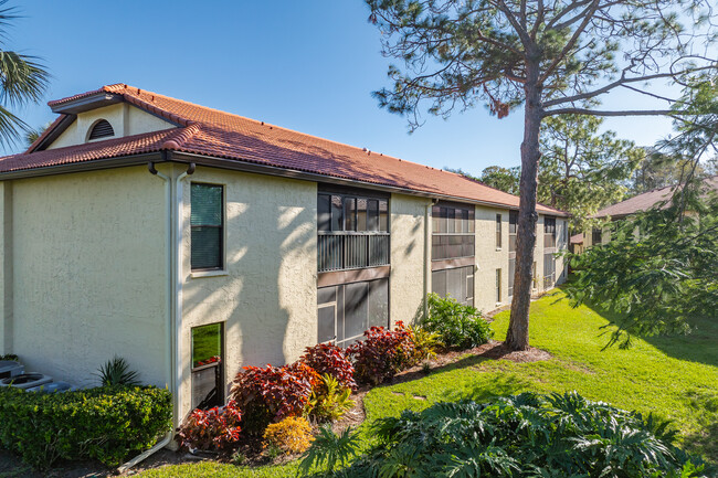 El Pasado in Palm Harbor, FL - Foto de edificio - Building Photo