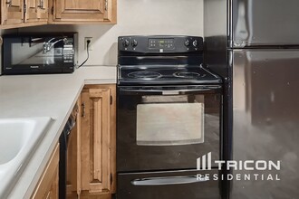 416 S Olive St in Waconia, MN - Building Photo - Building Photo