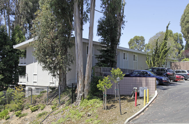 936 Walpert St in Hayward, CA - Foto de edificio - Building Photo