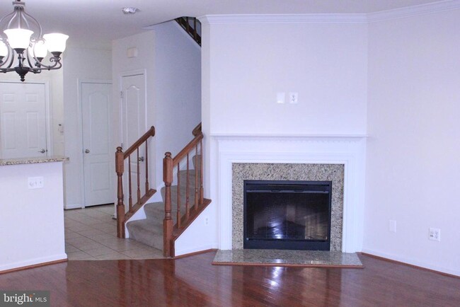 42525 Highgate Terrace in Ashburn, VA - Building Photo - Building Photo