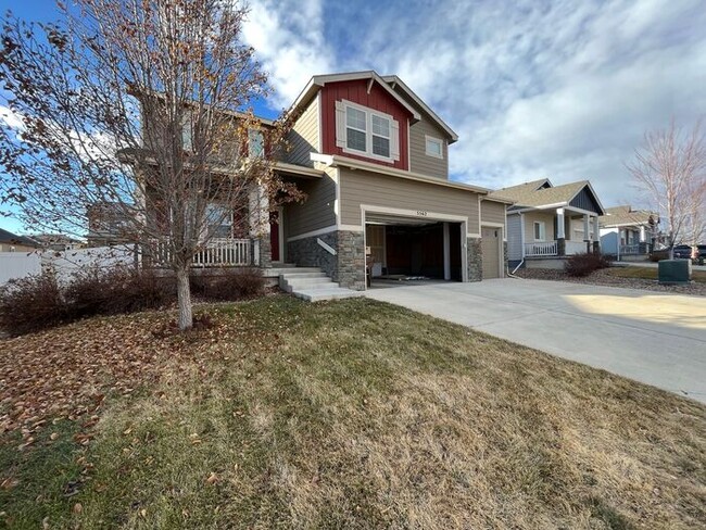 5562 Clarence Dr in Windsor, CO - Building Photo - Building Photo