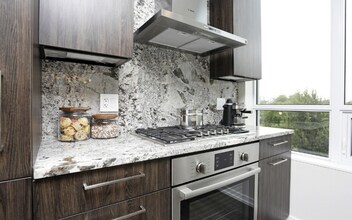 740 N Hudson Ave in Chicago, IL - Foto de edificio - Building Photo