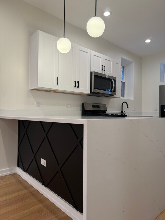 1329 W 19th St, Unit Apt 1 in Chicago, IL - Building Photo - Building Photo