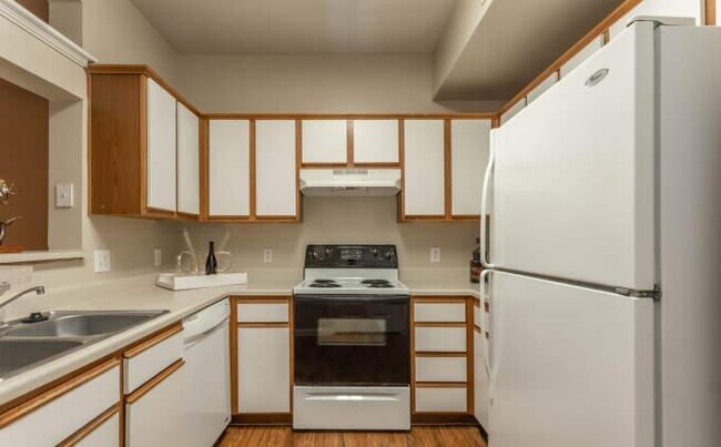 25455 Borough Park Dr in Spring, TX - Building Photo - Building Photo