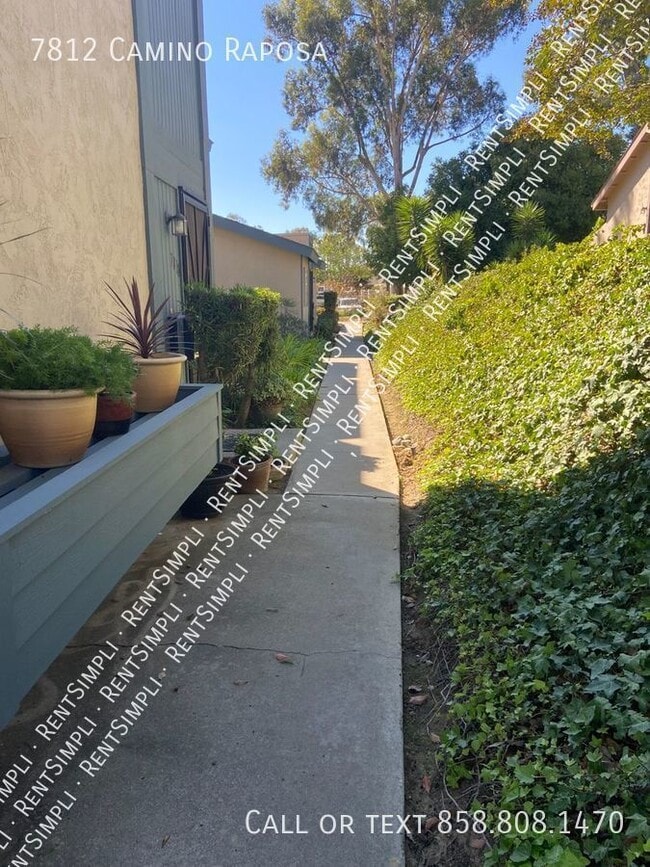 7812 Camino Raposa in San Diego, CA - Building Photo - Building Photo