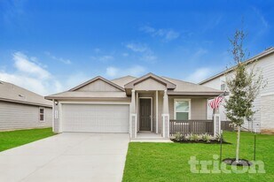 13538 Paxton Blvd in Saint Hedwig, TX - Building Photo