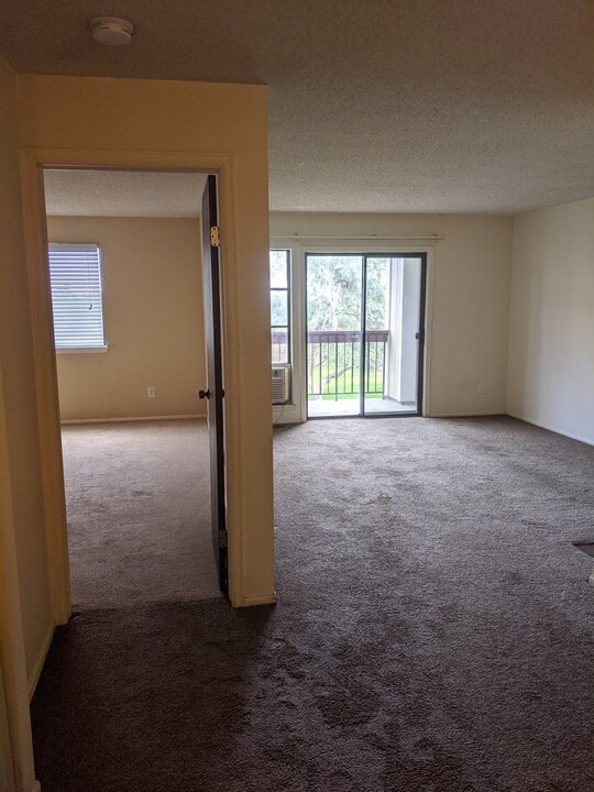 8470 Decatur St in Westminster, CO - Building Photo