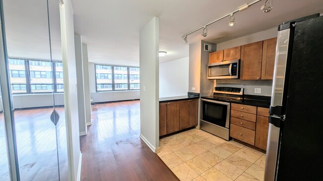 222 E Pearson St in Chicago, IL - Building Photo - Building Photo