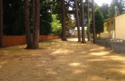 Victorian Apartments in Lacey, WA - Building Photo - Building Photo