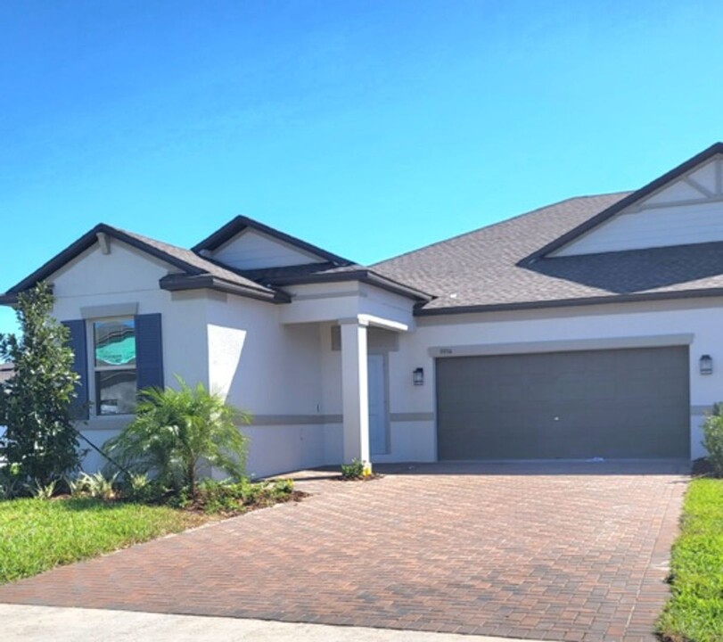 9994 Campanula Ct in Land O Lakes, FL - Building Photo