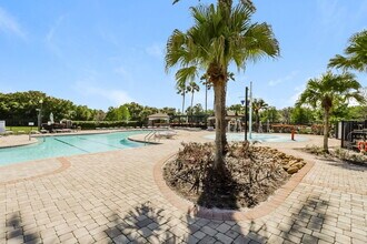 5594 Angelonia Terrace in Land O Lakes, FL - Building Photo - Building Photo