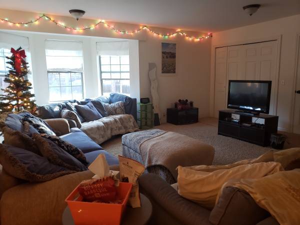 3174 Lindsey Loop, Unit Large Private Bedroom in Flagstaff, AZ - Building Photo - Building Photo