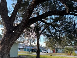 4515 Needle Palm Dr in New Port Richey, FL - Building Photo - Building Photo