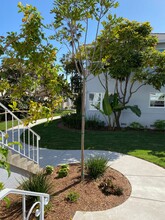 1047 19th St in Santa Monica in Santa Monica, CA - Building Photo - Interior Photo