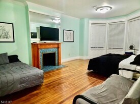 209 Mt Prospect Ave in Newark, NJ - Building Photo