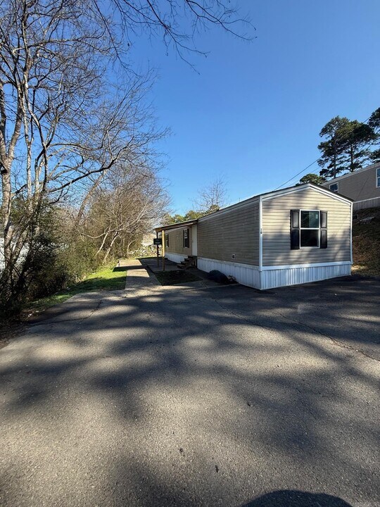 100 Springwood Rd in Piney, AR - Building Photo