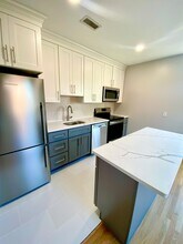 155 W Brookline St, Unit #5 in Boston, MA - Foto de edificio - Building Photo