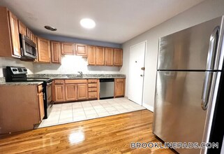 230 Babcock St, Unit 1B in Brookline, MA - Building Photo - Building Photo