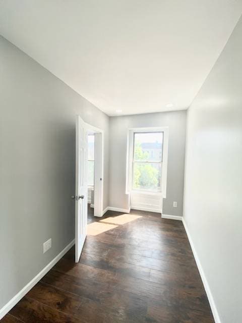 255 Decatur St in Brooklyn, NY - Foto de edificio - Building Photo