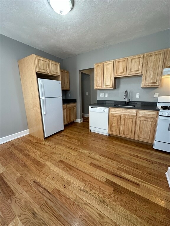 56 Everton St, Unit 1 in Boston, MA - Foto de edificio - Building Photo