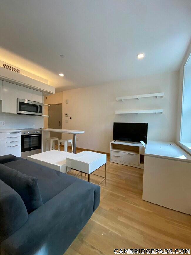 115 Mt Auburn St