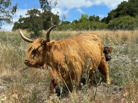 794 Manuela Way in Arroyo Grande, CA - Building Photo
