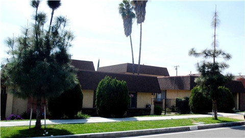 Pine Street Apartments in Upland, CA - Building Photo