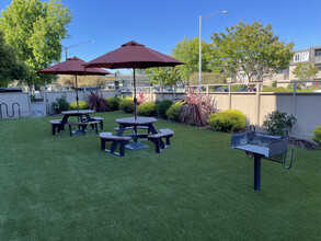 Fiesta Apartments in San Mateo, CA - Foto de edificio - Building Photo