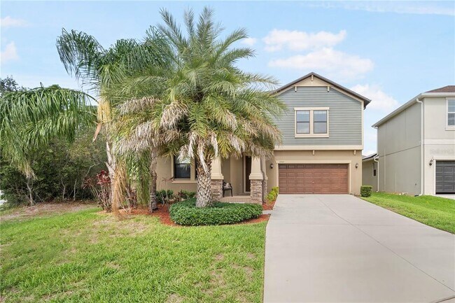 13923 Roseate Tern Ln in Riverview, FL - Building Photo - Building Photo