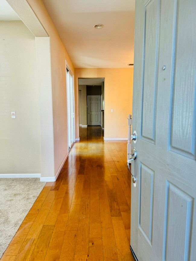 127 W Invitar Ln in Mountain House, CA - Building Photo - Building Photo