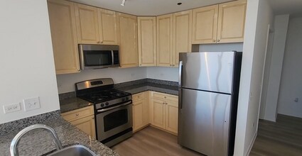 111 W Polk St in Chicago, IL - Foto de edificio - Building Photo