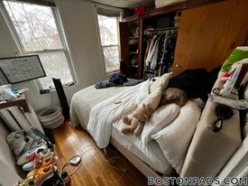 205 Hillside St in Boston, MA - Building Photo