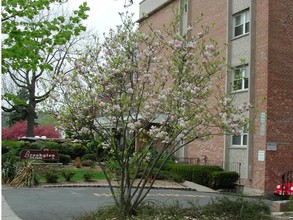 Brookglen Apartments in South Orange, NJ - Building Photo - Building Photo