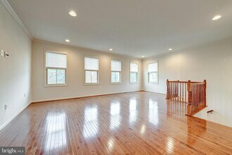 42541 Dreamweaver Dr in Ashburn, VA - Foto de edificio - Building Photo