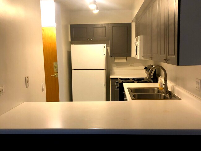811 Chicago Ave-Unit -207 in Evanston, IL - Building Photo - Building Photo