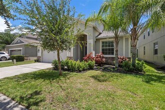 20405 Autumn Fern Ave in Tampa, FL - Building Photo - Building Photo