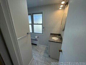 119 Chestnut St in Brookline, MA - Building Photo - Building Photo