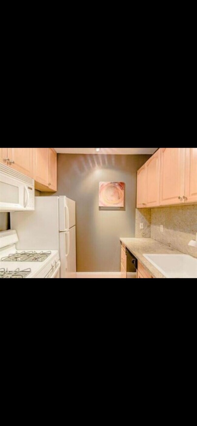 2009 Commonwealth Ave in Boston, MA - Building Photo - Building Photo