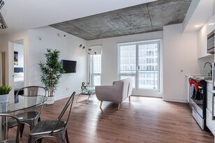 1635 Rue Berri in Montréal, QC - Building Photo
