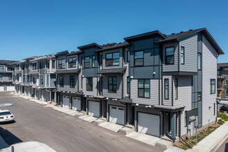 Seton Townhomes in Calgary, AB - Building Photo - Building Photo