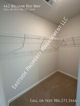 442 Belgian Red Wy in Wake Forest, NC - Building Photo - Building Photo