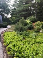 42 Brookside Dr in Stratham, NH - Building Photo - Building Photo