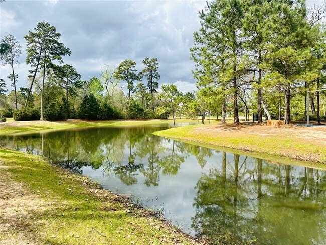 property at 6 Gentle Branch Pl